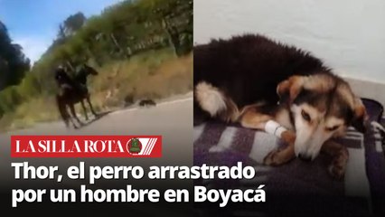 Indignación en Boyacá: hombre arrastra a un perro con un caballo, el animal ya está a salvo