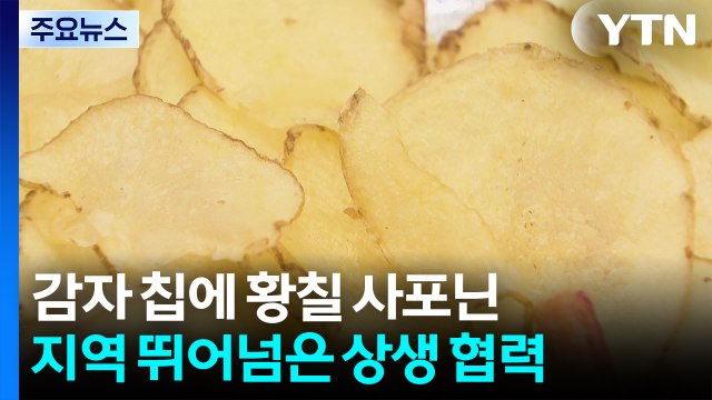 감자 칩에 황칠 사포닌...영호남 기업, 친환경 먹거리 보급 앞장 / YTN
