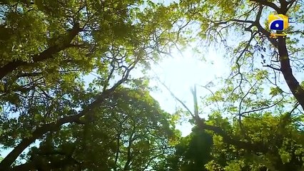 Haya Episode 23 - Drama & Entertainment