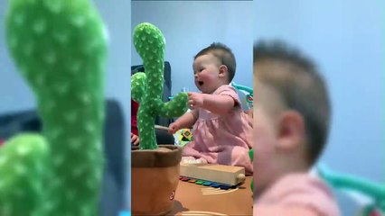 Videos de Bebés Divertidos que No Te Puedes Perder!