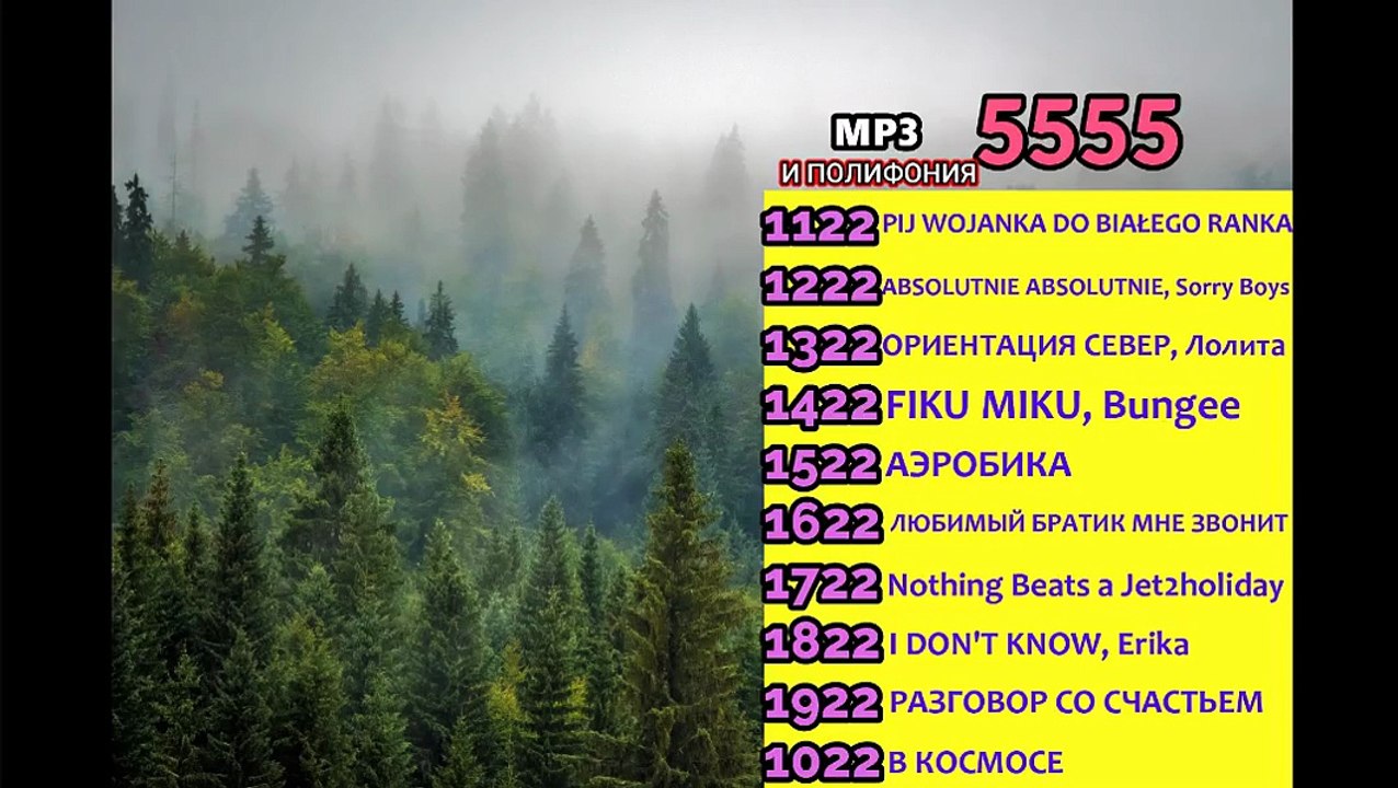 Реклама на BRIDGE TV 2025  (Пробная версия) [3] - Последний