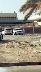 فيديو قفزة جريئة لرجل أمن تنقذ طالبة قبل انتحارها بالإمارات