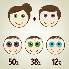 بالفيديو: هكذا تحدّد الوراثة لون عيني طفلك
