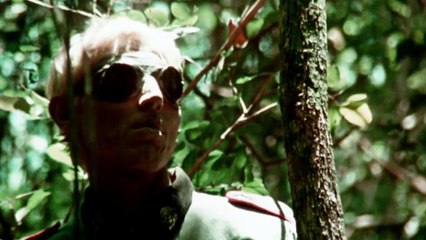 Shock Waves (1977) | Horror movie