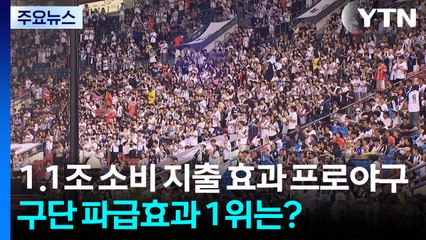 1.1조 소비 지출 효과 프로야구...구단 파급효과 1위는? / YTN