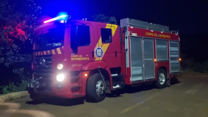 Cobra coral é capturada pelos bombeiros no Bairro Universitário