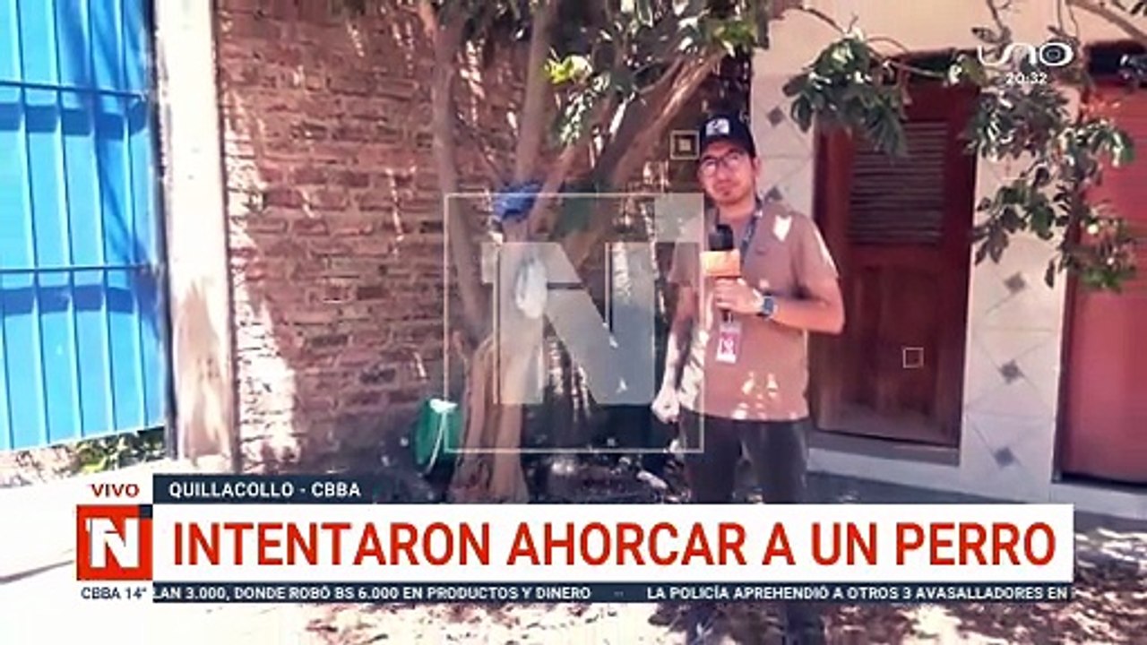 INTENTARON AHORCAR A UN PERRO