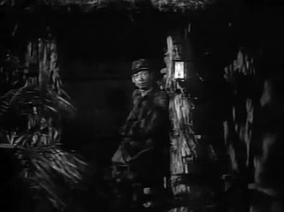 Three Came Home (1950)