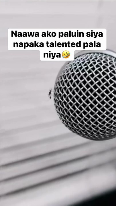 singing mosquito