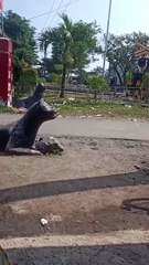 Suasana pagi hari di palang pintu rel kereta api