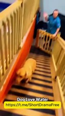 Fated To Miss Her Engsub Litetv