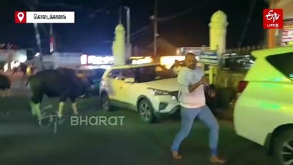 பேருந்து நிலையத்தில் ஒய்யாரமாக உலா வந்த காட்டெருமைகள் - பதறியடித்து ஓடிய பொதுமக்கள்!