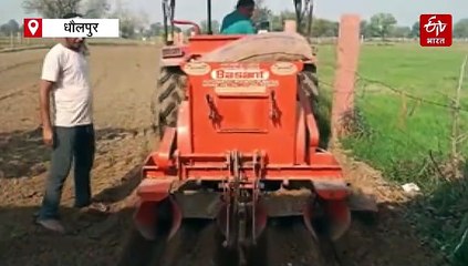 धौलपुर में बारिश ने बिगाड़ा फसल का गणित, सरसों की बुवाई पिछड़ी, खरीफ की फसल पहले ही बर्बाद