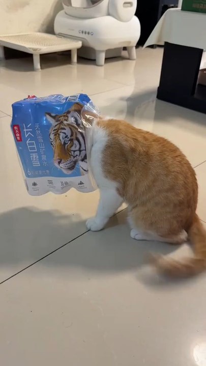 He never did find his clothes.