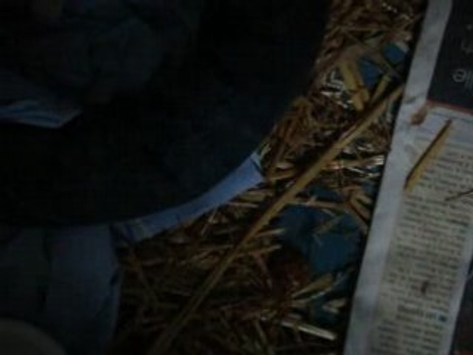 MOV01283