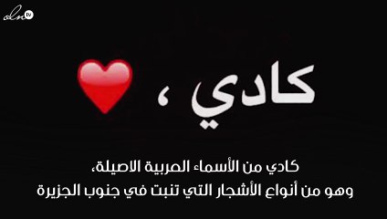 معنى اسم كادي