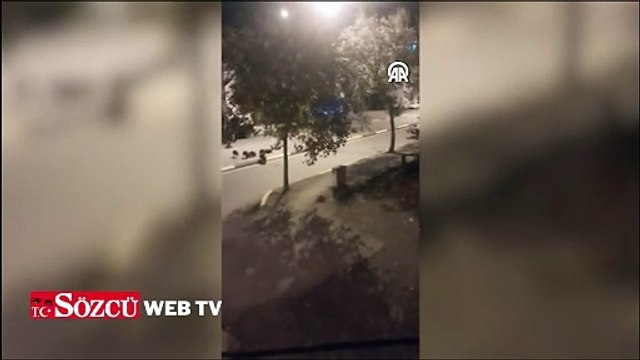 Aç kalan yaban domuzları ilçe merkezine indi