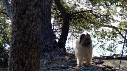 N° 3 - concours septembre 2025