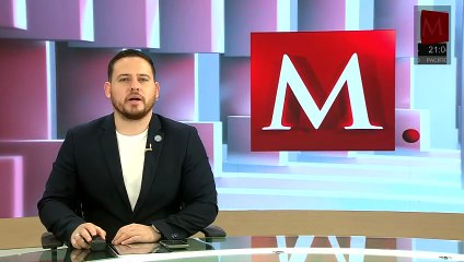 Amparo busca reconocer derechos a las ballenas por megaproyecto gasífero en el Golfo de California