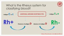 What is the Rhesus system for classifying blood?