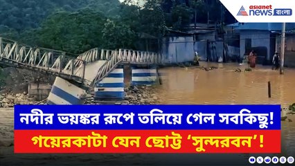 North Bengal: অবিরাম বৃষ্টিতে ডুবল গয়েরকাটা! নদীর রোষে তলিয়ে গেল সবকিছু, দেখা নেই প্রশাসনের