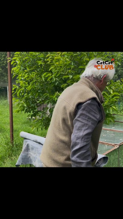 La mue fabriquée par cet expert et passionné des poules 🐔