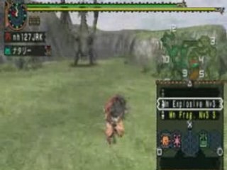 [MHP2-G]Duo rathalos/rathian.