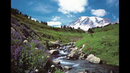 Türkülerle Türkiye - Osmaniye - Menevşe Buldum Derede