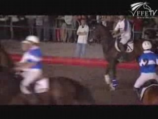 L'Equipe de France de Horse-ball au Grand Tournoi 2008