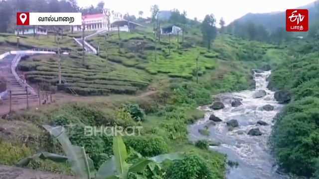 காட்டாற்று வெள்ளத்தில் சிக்கித் தவித்த தாய் - மகள்: வைரலாகும் வீடியோ!