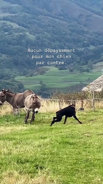 Pierre Niney Instagram