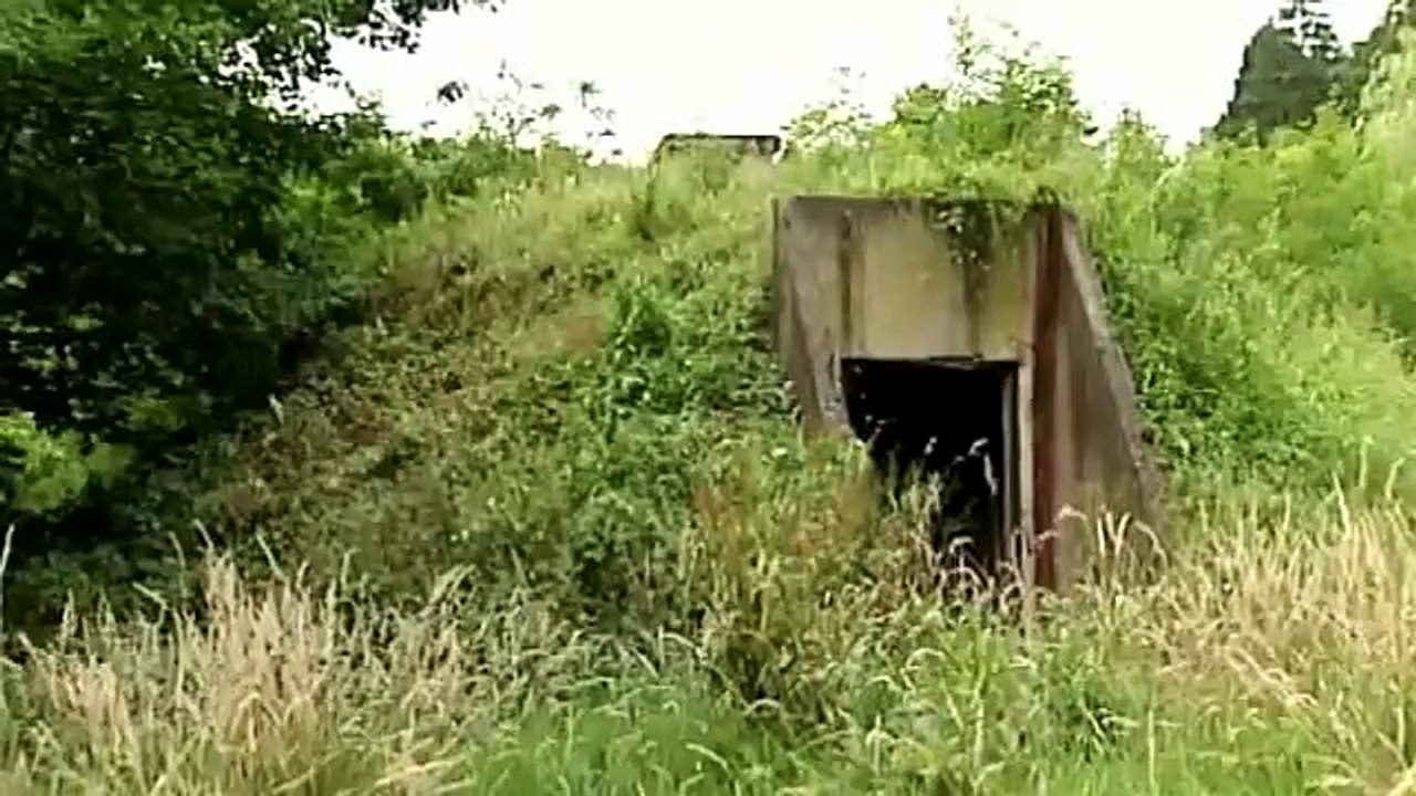 1.DÜNYA SAVAŞI İSYANLAR BAŞLIYOR (1917) 8.BÖLÜM