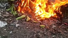 Bakar sampah daun kering