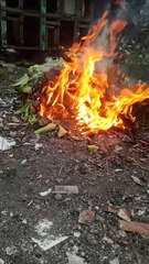 Bakar sampah daun kering