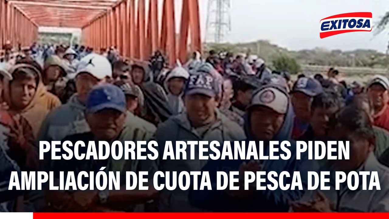 Pescadores artesanales piden la ampliación de la cuota de pesca de pota: "Queremos una salida justa"