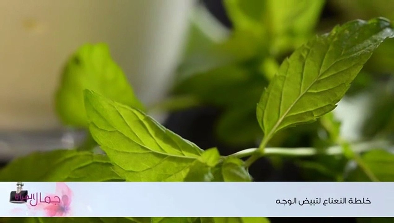 خلطة النعناع لتبيض الوجه