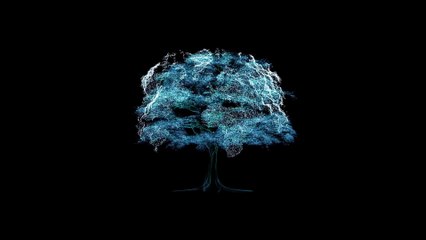 The Bastard King - Born to Rule - New Lion Full Documentary