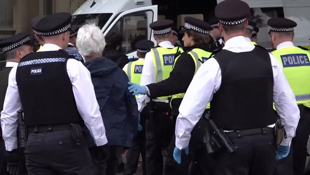 Palestine Action protesters carried off by police during London demonstration