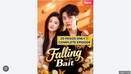 Falling for the Bait Chinese Drama - English Sub