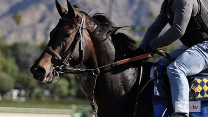 Tenma Next Fasig-Tipton Star for Baoma Corp.