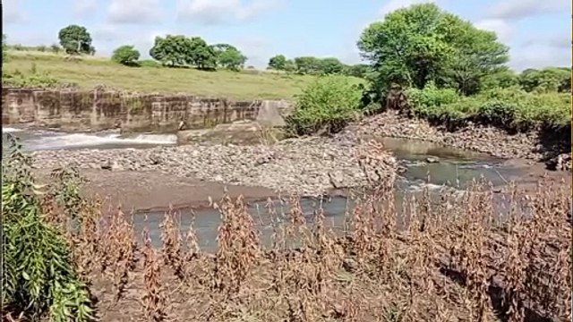 शेतकऱ्यांना नुकसान भरपाई देताना 2019 च्या शासन निर्णयाचे पालन करा; शेतकरी नेत्यांची मागणी