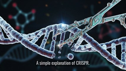 049 CRISPR: How Science is Re-writing the Human Code