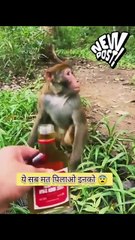 Hasna Mana Hai Comedy Ki Dukaan full funny video's