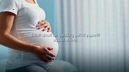 الأسبوع الثاني والثلاثون من الحمل: الطفل يستعد للخروج