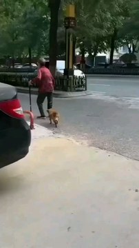 Hello guys please follow up for more