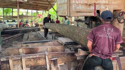 Steps to Cut 5x10 Wood with a Sawmill