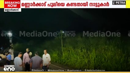 പാലക്കാട്    മണ്ണാർക്കാട് പുലിയെ കണ്ടതായി കാർ യാത്രക്കാർ