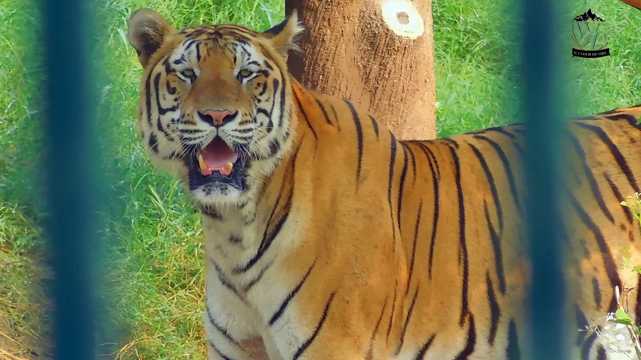 Wildlife Zoo Peshawar