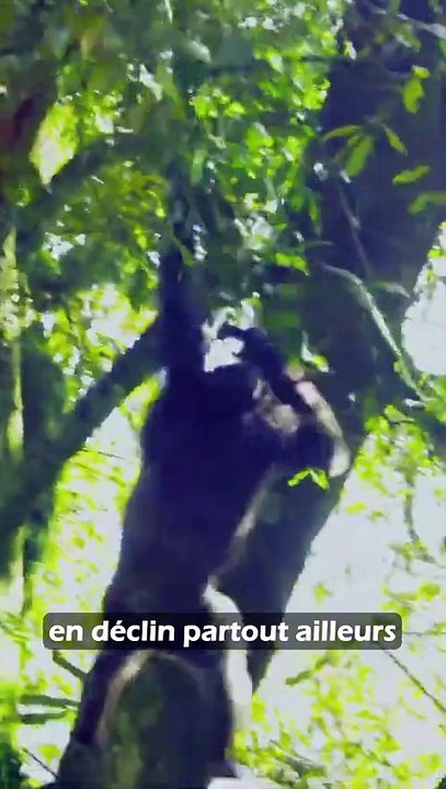 Le Rwanda est un paradis ?