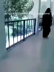 بالفيديو: شاب متنكر بزيّ منقّبة يجول في جامعة يمنية